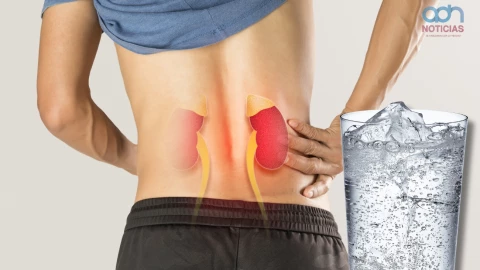 agua mineral afecta riñones