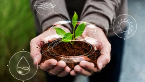 que - es - agricultura - sostenible - cuales - son - beneficios