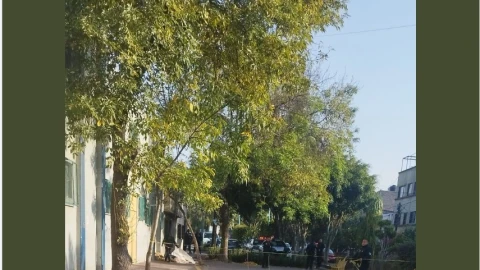 CDMX: Un bebé fue abandonado y murió en la alcaldía Venustiano Carranza, dentro de la colonia 20 de Noviembre