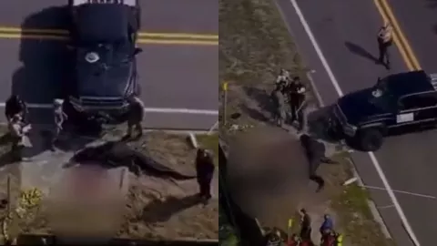 caimán-florida-mata-hombre