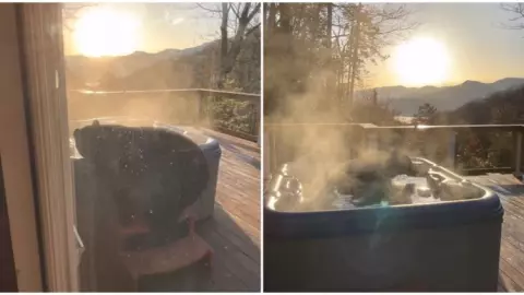 graban a un oso dándose un baño en un jacuzzi