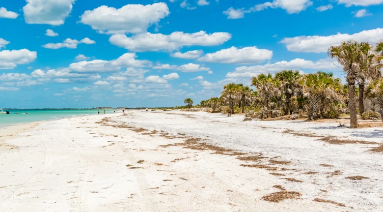 una vista del paraiso natural llamado Caladesi Island State Park