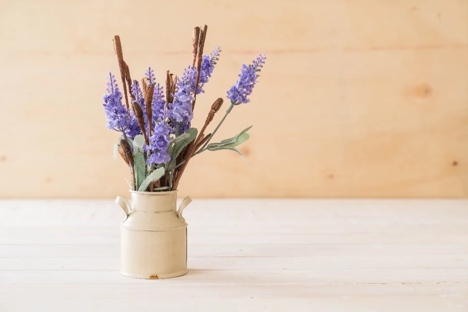 plantas que ahuyentan cucarachas