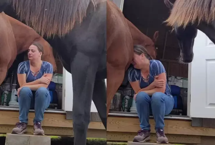 VIDEO: Caballo da consuelo a su dueña cuando estaba llorando