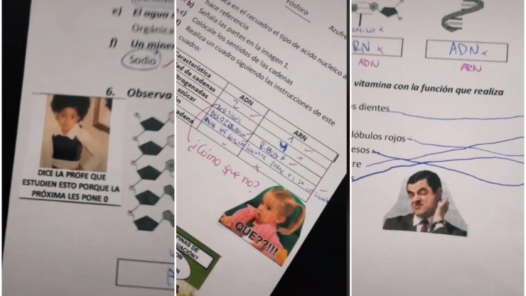 maestra-memes-alumnos