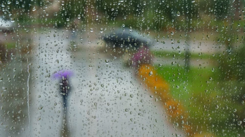 Clima Morelia lluvia.png