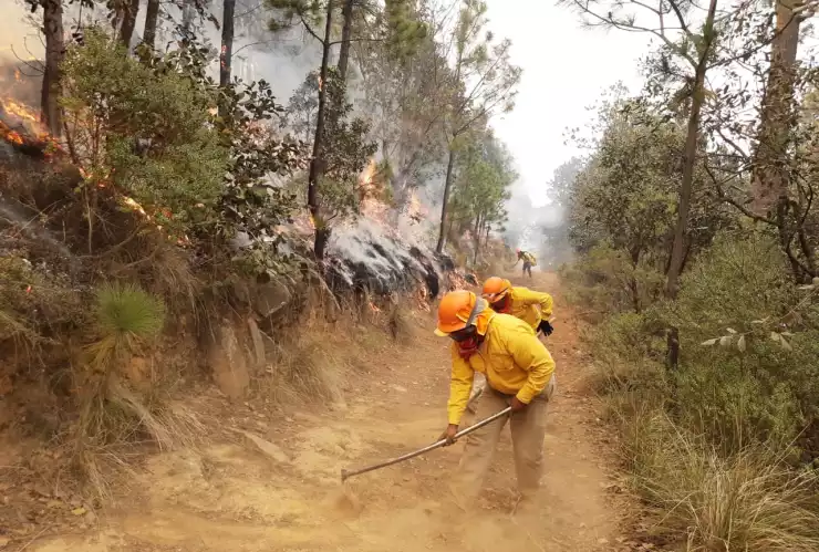 Incendio forestal
