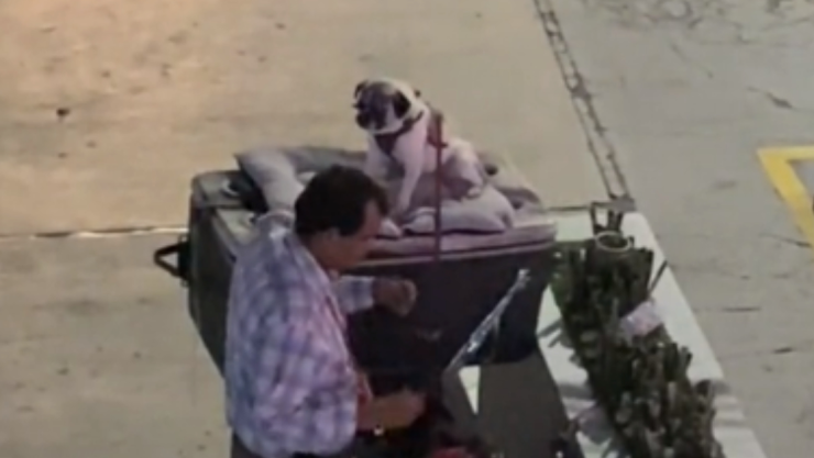 VIDEO_ Señor llega a vender flores a bar con todo y su perrito