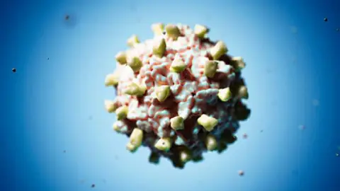 Virus coxsackie