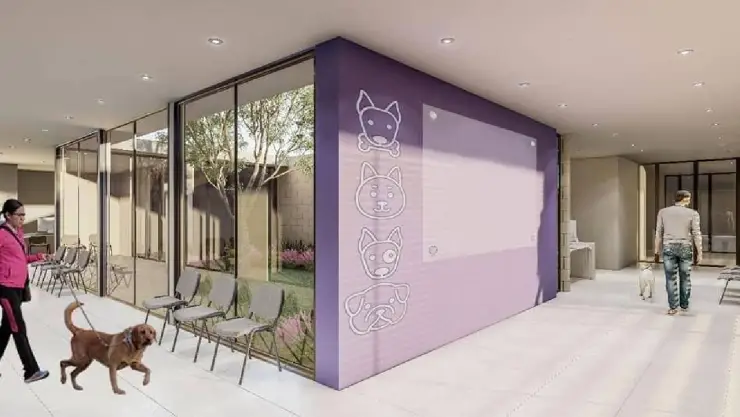 Primer Hospital Veterinario Público de Yucatán está en proceso