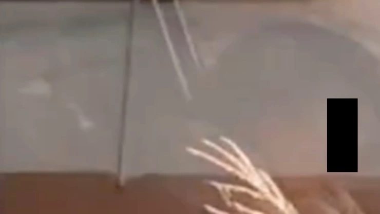 chofer se queda dormido semáforo