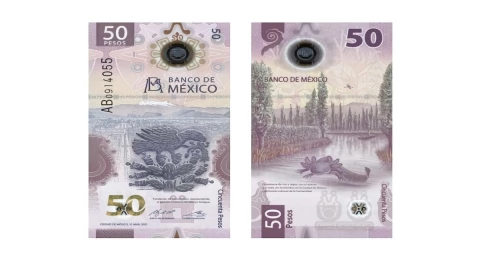 ofrecen hasta 700 mil pesos por billete de 50 del ajolote