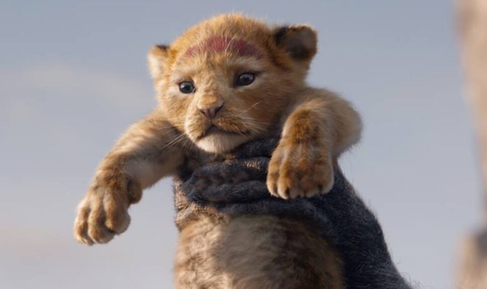 Rey León Récord Kidsiete