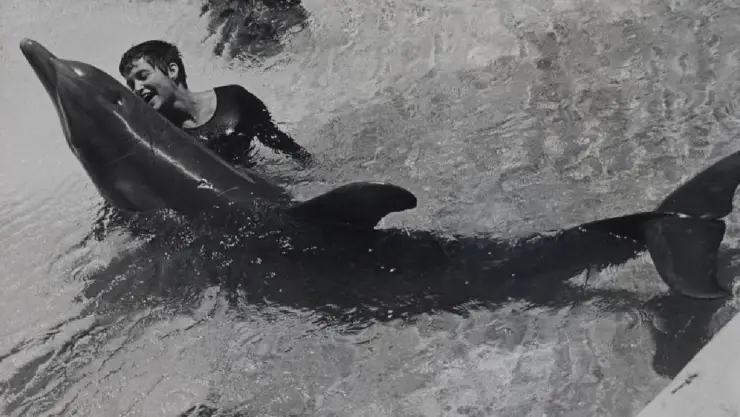 Delfin se enamora de su entrenadora, Margaret Lovatt.jpg