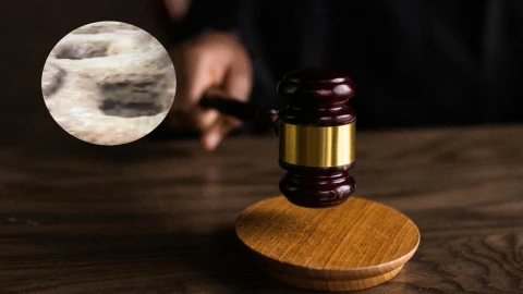 Condenan a Los Zetas responsables de la masacre de San Fernando