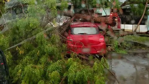 ÚLTIMA HORA_ Cae ENORME árbol sobre auto en la Canek por lluvias del Huracán Helene