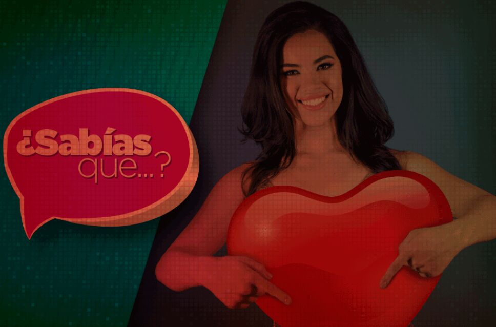 la academia app Silvia