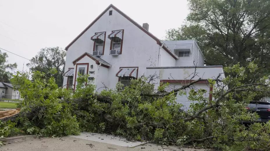 Un árbol caído tras a fuertes tormentas en Bismarck, Dakota del Norte.