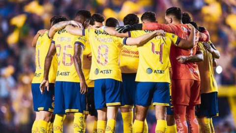 Andr&eacute; Jardine