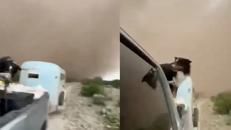 escapan de tornado en Coahuila