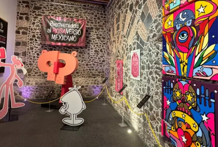 Tras exposición de La Pantera Rosa, Mumedi cierra su sede