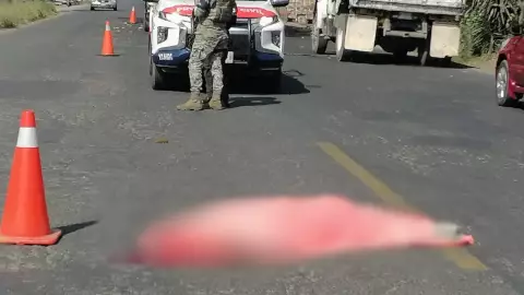 Identifican a mujer que murió atropellada en carretera Yanga-Cuitláhuac ¿Quién era?