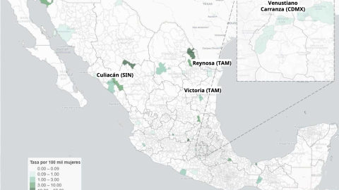 feminicidios en México.png