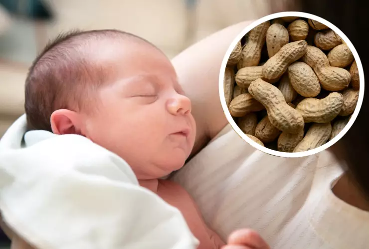 La introducción temprana al cacahuate en lactantes de 4 a 6 meses ayudar a reducir el riesgo de alergia al mismo cacahuate, según estudio