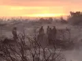 Al momento hay 1,645 personas evacuadas y 3 refugios activos. La mayor afectación se reporta en Ensenada (5,000 hectáreas) y Tecate (1,250 hectáreas).