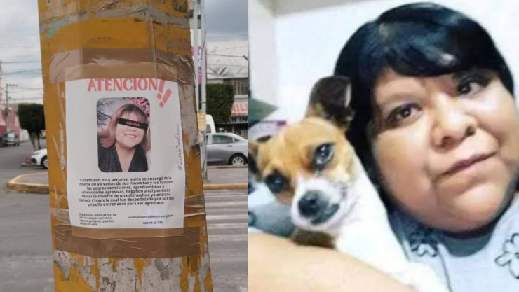 Por qué acusan a AimeP3 de maltrato animal.