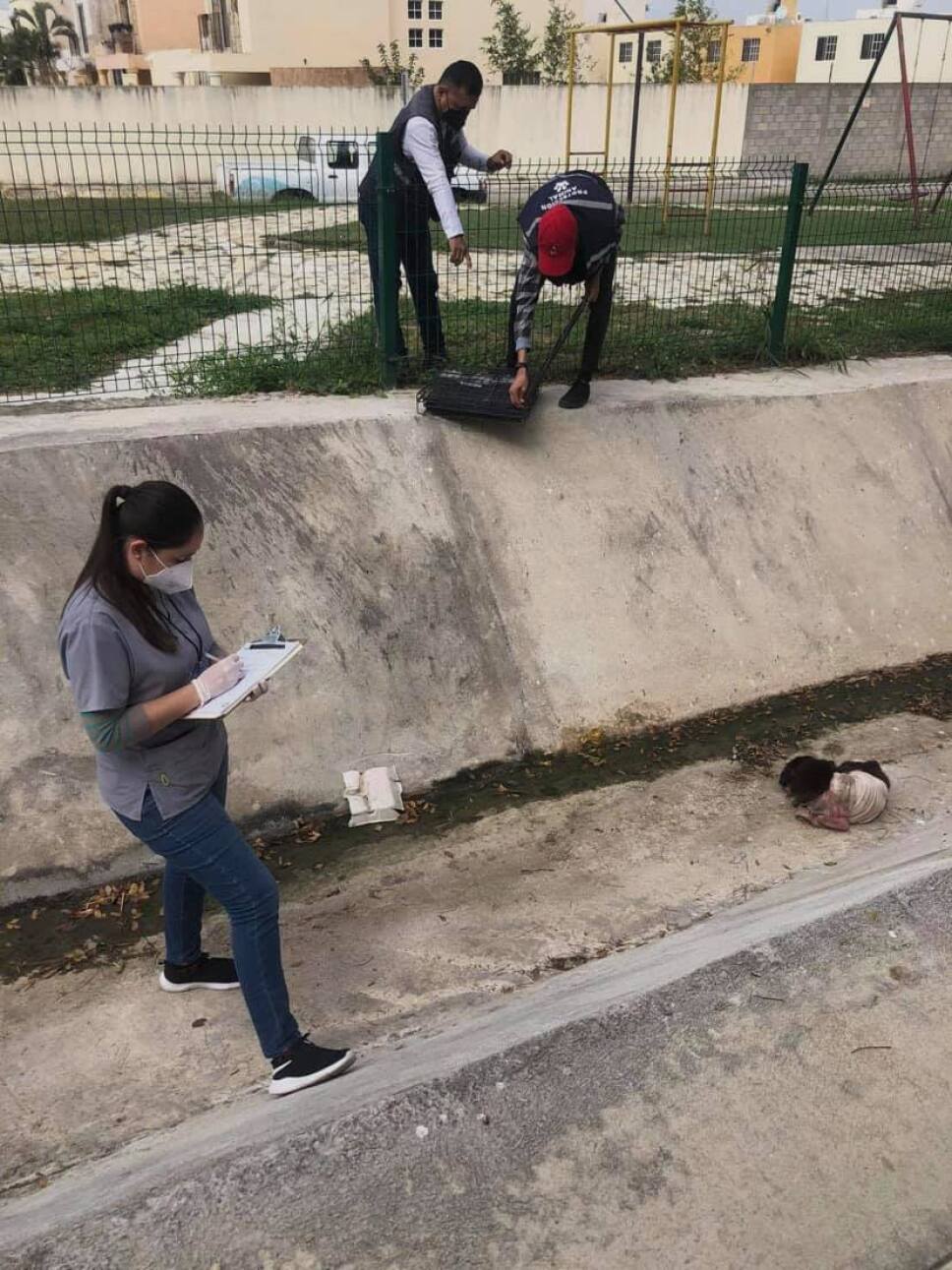 Perrito abandonado en un canal de 2.jpg