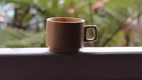 te de flor de cempasuchil