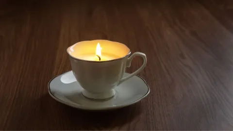 Vela