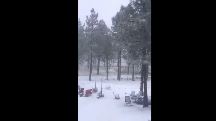Primera nevada Sierra Juárez