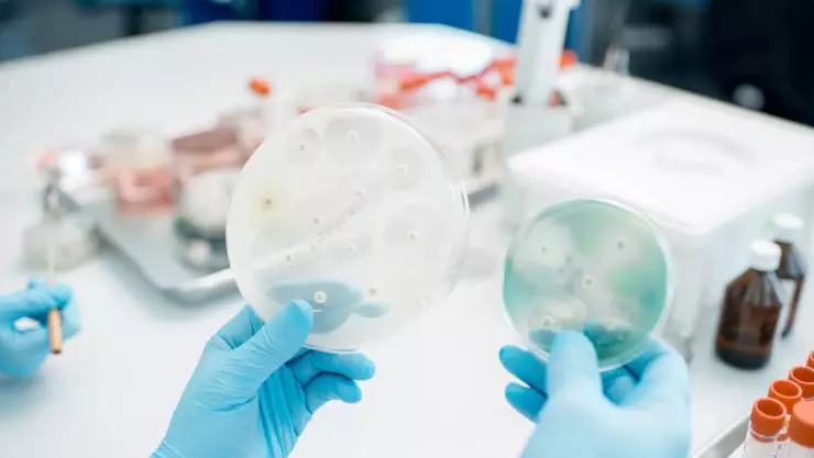 Estreptococo A en Japón