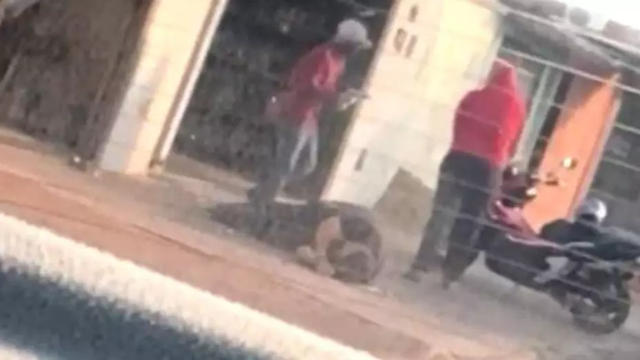 X @LucinhoMendes.jpg