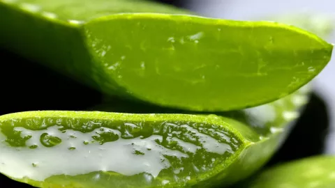 Esto sucede cuando pones aloe vera en tu cara a diario