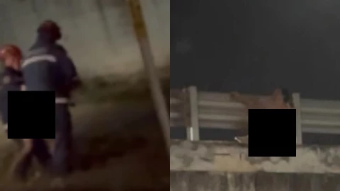 Reportan a sujeto merodeando sin ropa por el Puente de Umán; autoridades intervienen