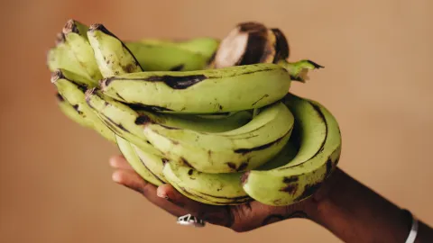 El plátano contiene prebióticos que mejoran tu estado de ánimo