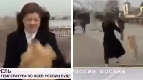 perro-roba-microfono-reportera (1).jpg