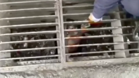 Joven queda atrapado en alcantarilla