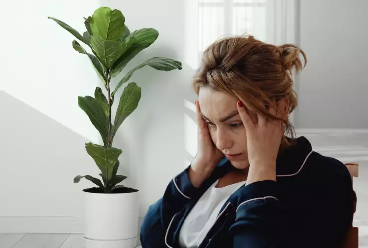 plantas ornamentales no recomendadas