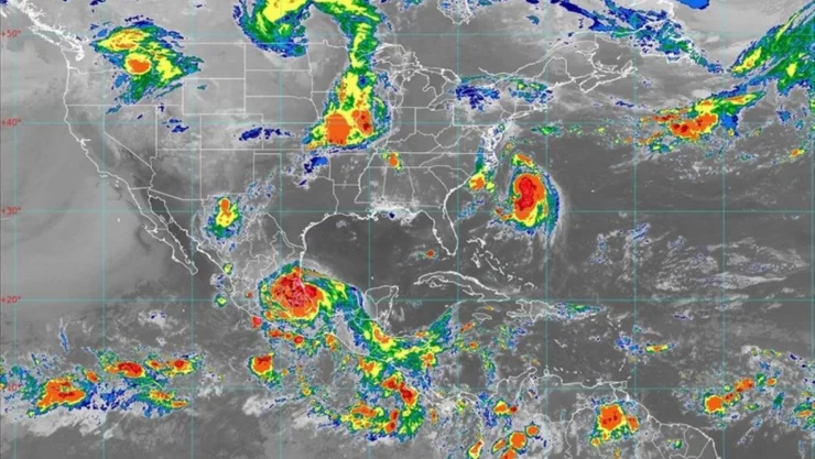 grace-hidalgo-categoria-2 (1).jpg