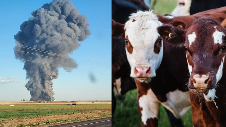 Explosión en Texas