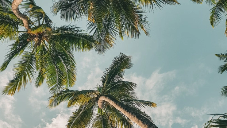 Tips efectivos para ahorrar dinero en estas vacaciones de Semana Santa, según la IA