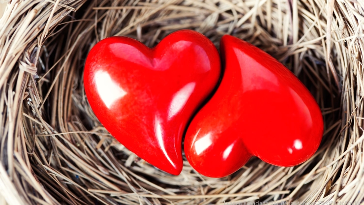 que-es-amor-líquido-en-que-consiste-nueva-forma-se-relacionan-las-parejas