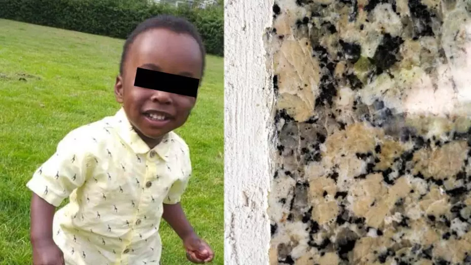 Niño de 2 años muere por el moho en su casa.jpg