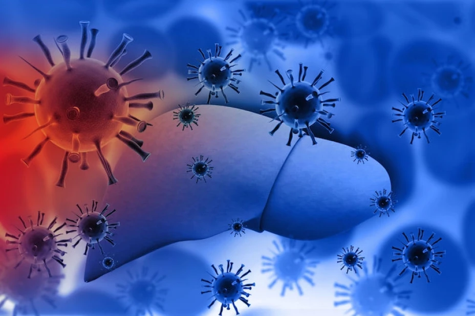 Mortalidad por hepatitis