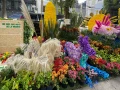 Festival Flores y Jardinería 2022 Polanco