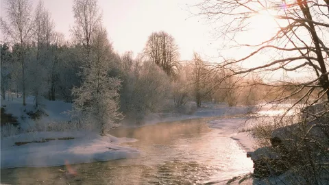 Frente Frío 25 ¿Hasta cuándo afectará al clima en Aguascalientes con temperatura bajo cero